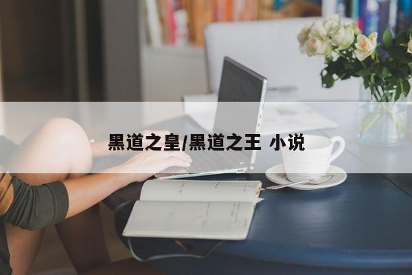 黑道之皇/黑道之王 小说