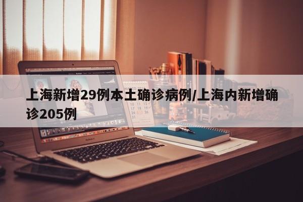 上海新增29例本土确诊病例/上海内新增确诊205例