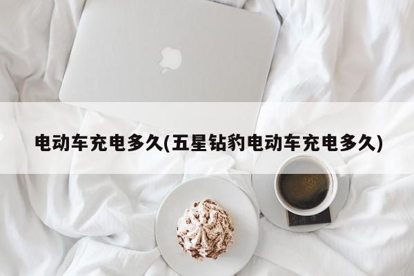 电动车充电多久(五星钻豹电动车充电多久)